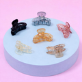 Mini Transparent Hair Claw Clip Set