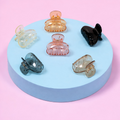 Mini Transparent Hair Claw Clip Set